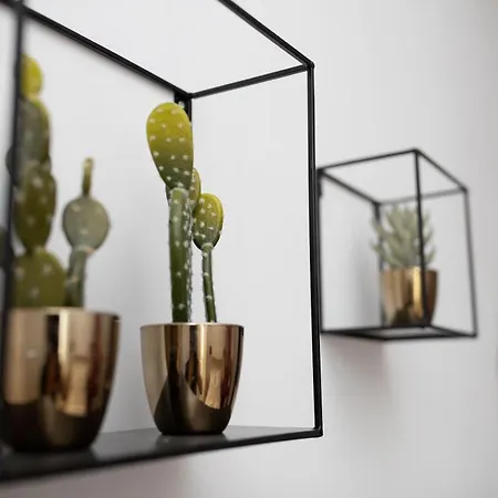 公寓 Municipiohouse-84 By Dimorra *